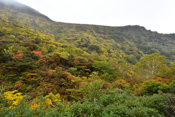 Fototapeta na wymiar Climbing Mount Adatara, Fukushima, Japan