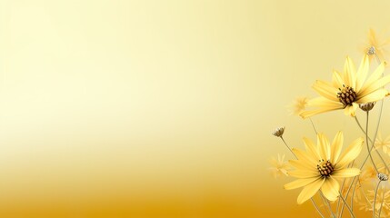 yellow flower background