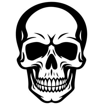 outline vector skull in black