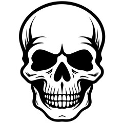 outline vector skull in black