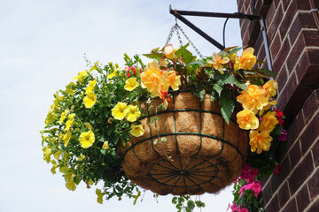 hanging basket of summer flowers. pretty floral display decoration 