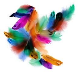 Colored feathers arranged in the shape of a bird silhouette with speard wings