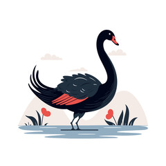 Black swan illustration design isolated on white background. Elegant black swan on the water. Vector stock