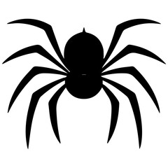Black spider silhouette