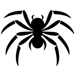 Black spider silhouette