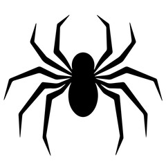Black spider silhouette