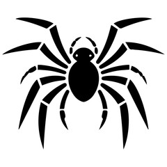 Black spider silhouette