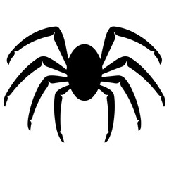 Black spider silhouette