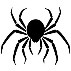 Black spider silhouette