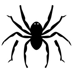 Black spider silhouette
