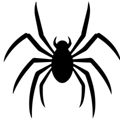 Black spider silhouette