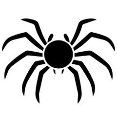 Black spider silhouette
