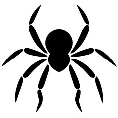 Black spider silhouette
