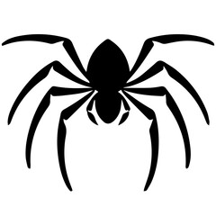 Black spider silhouette
