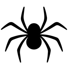 Black spider silhouette