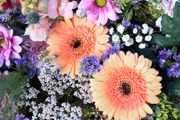 Beautiful flowers background. Flowers decoration, view from above