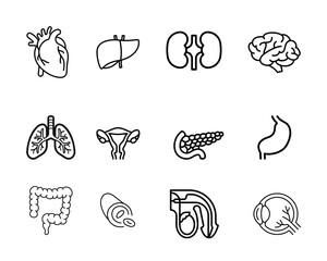 Icon set. Organs of the human body illustration vector style,