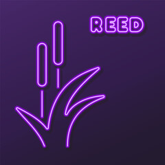 reed neon sign, modern glowing banner design, colorful modern design trends on black background. Vector illustration.