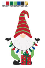 Christmas Gnome Wirh Light