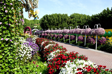 Dubai Miracle Garden is  world's largest natural flower garden,  150 million flowers of different varieties and is the top tourist, unique display and extravagant outdoor recreational destination