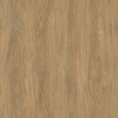 Seamless texture - oak old wood - seamless - scale 60x60cm
