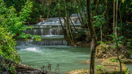 beautiful water fall and Leaf natural leaves and stream green forest in the mountain concept back...