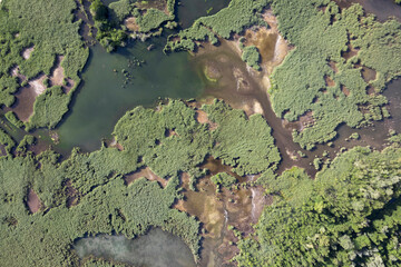 Particular aerial view of the lake of Porta Tuscany Italy