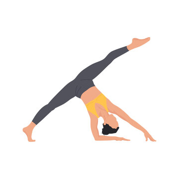 Woman demonstrating inverted split. Yoga practice. Female yogini. Hip opener yoga pose. Vector illustration isolated on the white background