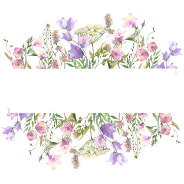 Watercolor frame with Herbs and wild flowers, leaves, butterflies. Botanical Illustration on white background. Template with place for text.