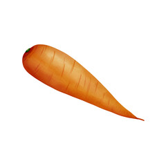 Carrot vegtable