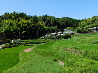 夏の田園風景 棚田と集落(大阪府茨木市大字長谷で2023年8月撮影)