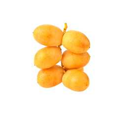 date palm on transparent png