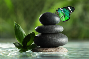 Peace and harmony. Stacked stones in water and beautiful butterfly