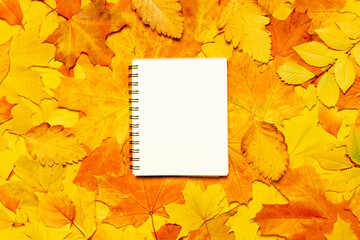 Mockup notepad leaves pattern autumn leaves background. Sketchbook on autumn background fall season. Paper notebook on autumn foliage background. Fallen leaves with sketch book. Flat design. Top view