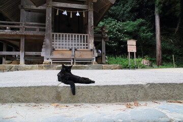 SHIMANE, JAPAN - August 11, 2023 :Scenery of "Izumo Taisha" in Shimane Prefecture, Japan