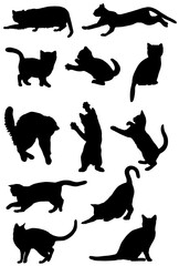 Cat kitten kitty  feline pet silhouette set