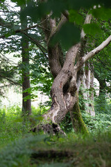 Fort William, Scotland