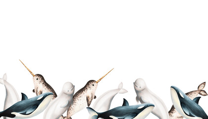 Watercolor frame with beluga, killer whale and narwhal isolated on white background. Hand painting realistic Arctic and Antarctic banner with ocean mammals. For designers, decoration, postcards,  © Natalia