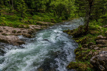 A view of turbulent river flow in the lower reaches of the Mostnica river in the Mostnica gorge in Slovenia in summertime