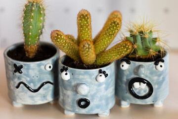 Grey handmade flower pots with funny faces with cacti