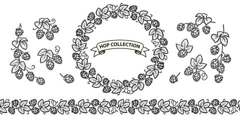 Set of beer hop branches, cones, beer hop seamless border and decorative wreath of hop. Vector illustration.