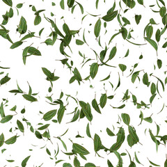 3D Render Flying Green Foliage