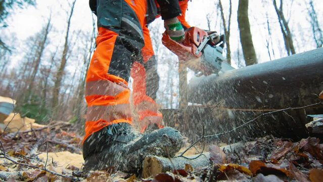 Mit Kettens&auml;ge durch Holz schneiden in Slow Motion