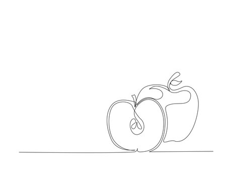 Continuous one line drawing of apple fruit. Half of apple outine vector illustration.  
