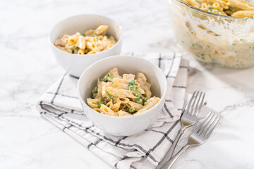 Macaroni Salad with Chicken