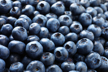 Many tasty fresh blueberries as background, closeup view