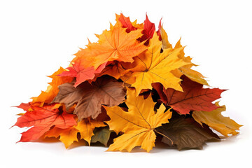 Naklejka na ściany i meble Big pile of colorful autumn leaves isolated on white background