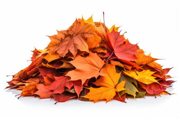 Big pile of colorful autumn leaves isolated on white background