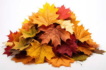 Naklejka na ściany i meble Big pile of colorful autumn leaves isolated on white background