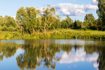 Fototapeta na wymiar Landscape shot of the pond. Nature